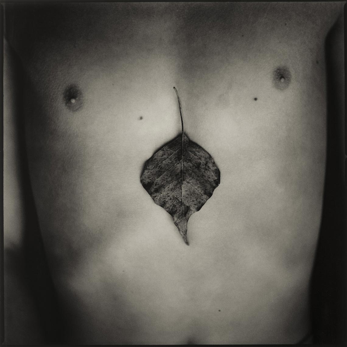 Leaf - Austin, TX - Thirteen