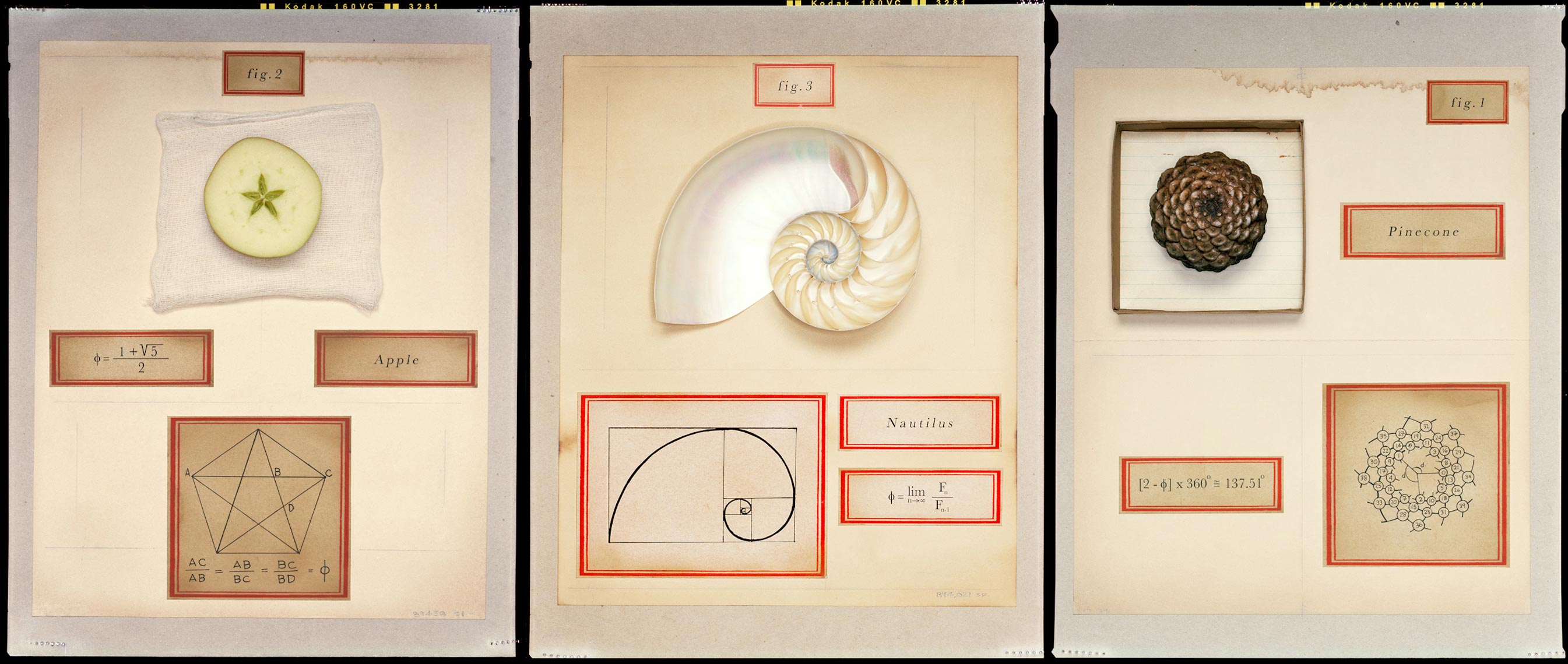 Golden Ratio - Driftwood, TX - Discover Magazine