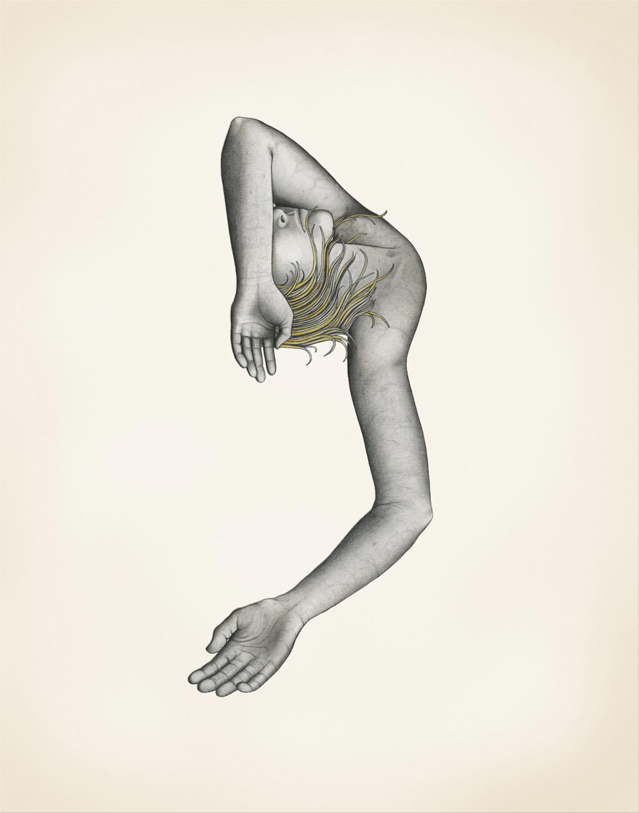 Diagnosis No. 7 - Graphite and Acrylic on Paper - Monthly New York Times Column
