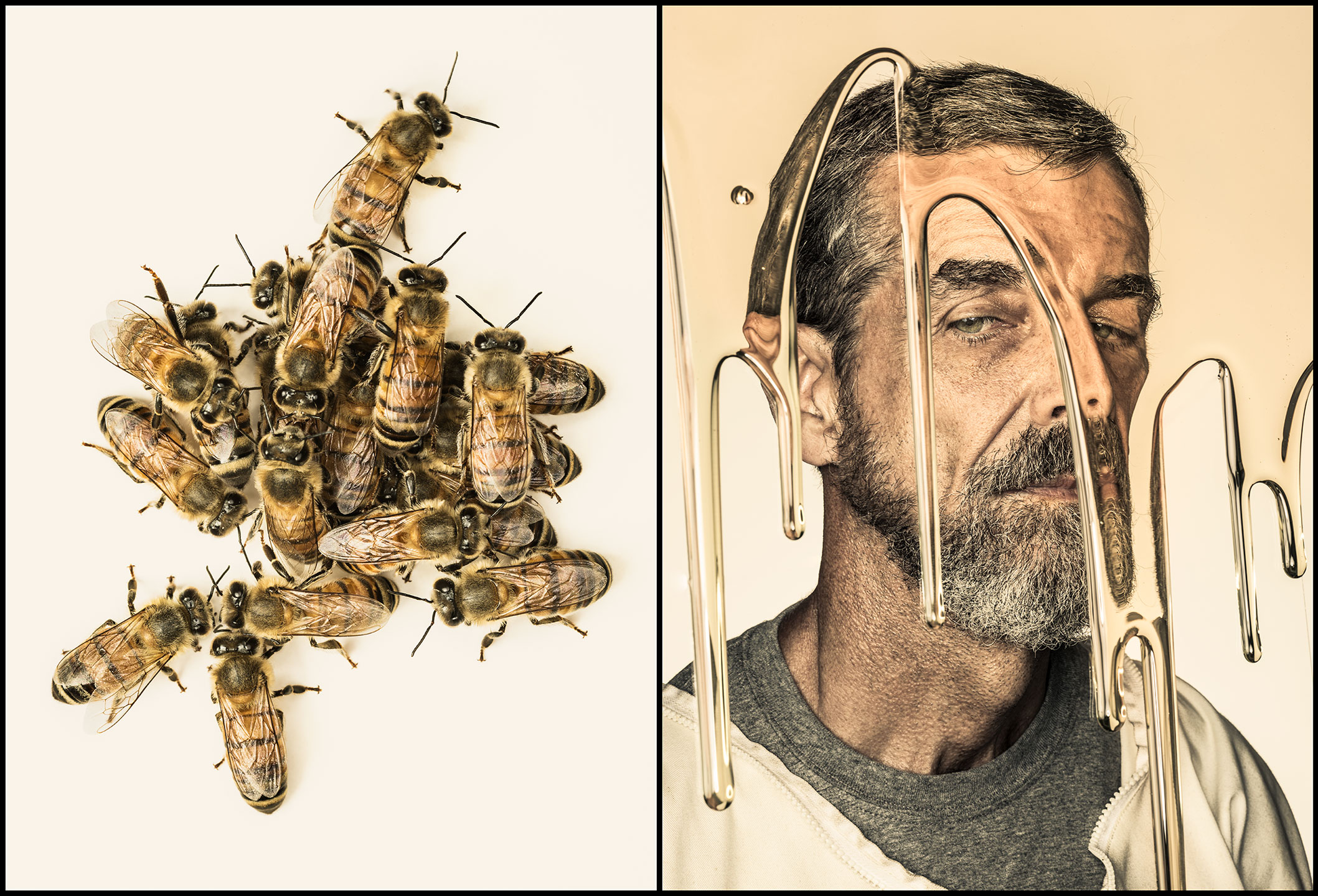 Winters_Wired_Beekeeper_DUO